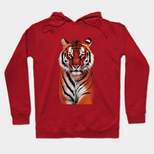 Tiger Hoodie